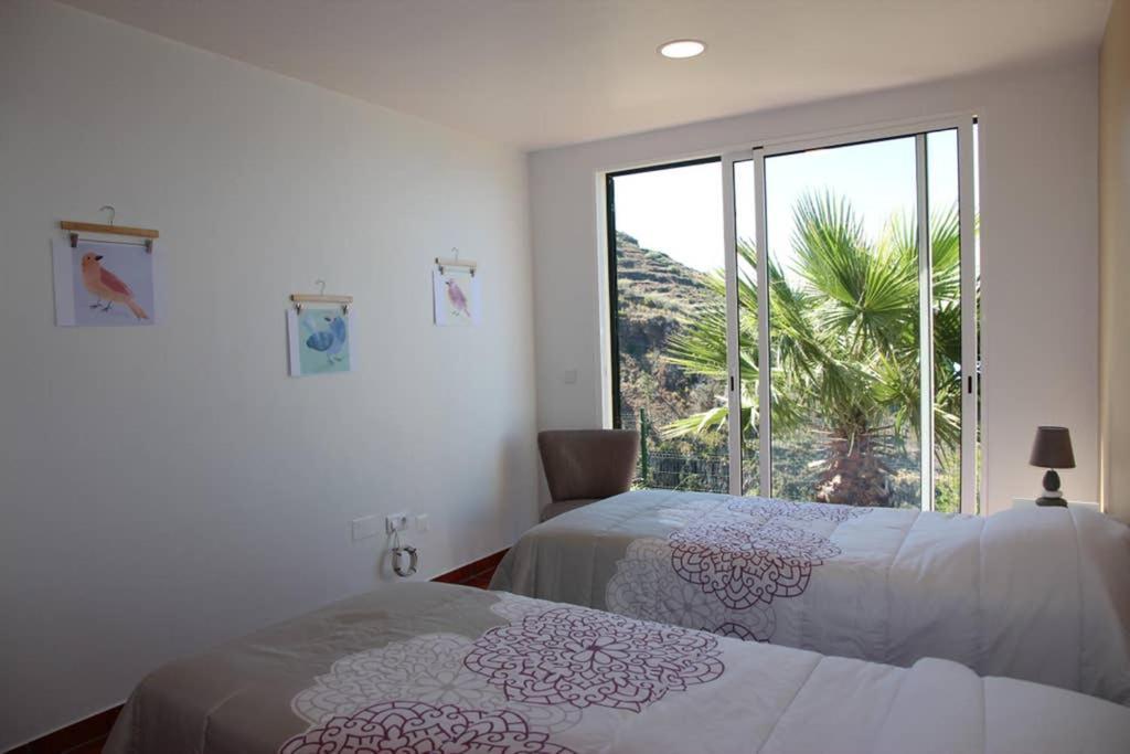 Apartamento Mar Azul Apartment Calheta  Ngoại thất bức ảnh
